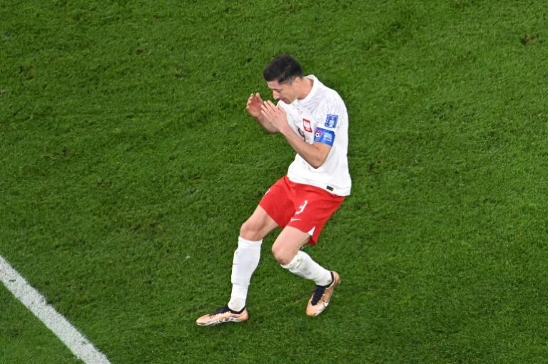 'Happens to the greatest': Lewandowski backed to end WC drought