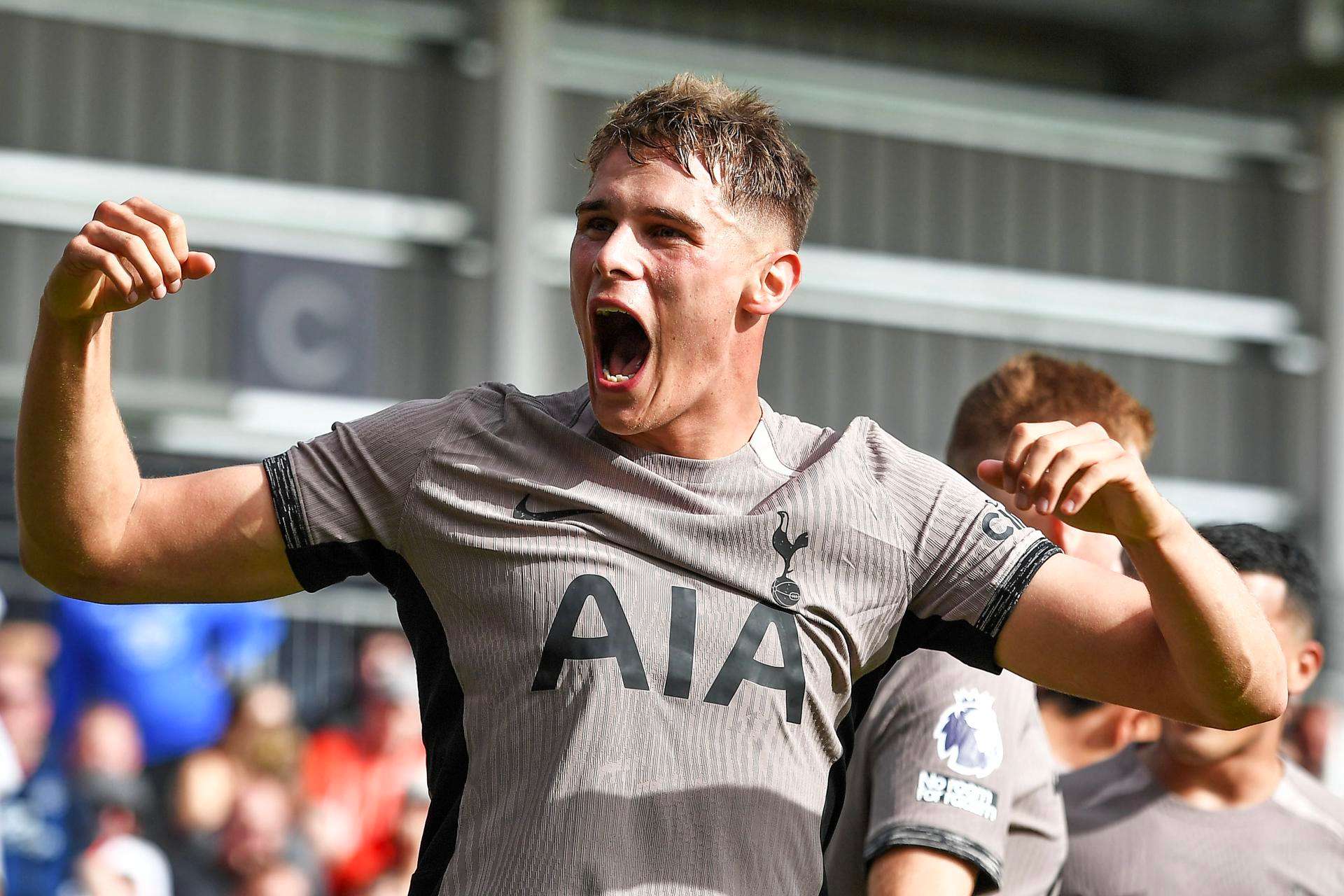 Possible lineups for Tottenham v Fulham
