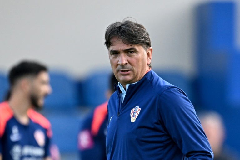 Croatia 'deserve more respect', says coach Dalic