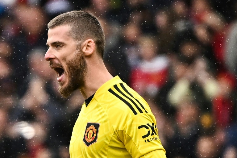 OFFICIAL: Former Man Utd's David de Gea joins Fiorentina