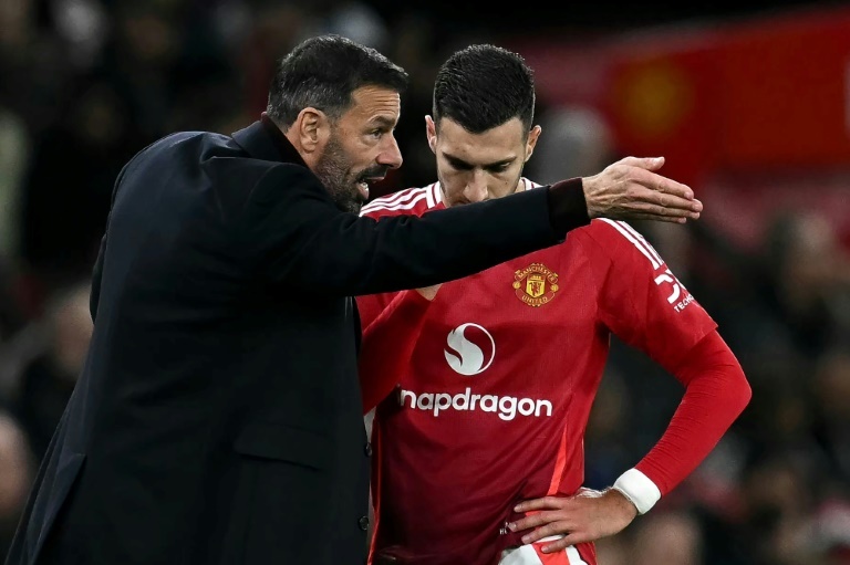 Van Nistelrooy says no contact with new Man Utd coach Amorim