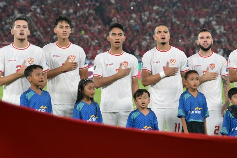 Indonesia go Dutch in pursuit of World Cup dreams