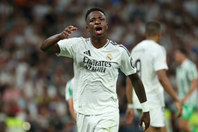 Former Madrid and Brazil coach Luxemburgo criticised Vinicius' behaviour