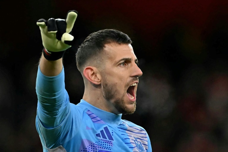 Newcastle coach Howe eager to hang onto goalkeeper Dubravka